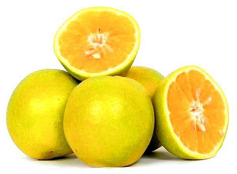 இது அரியலூர் சாத்துக்குடி!