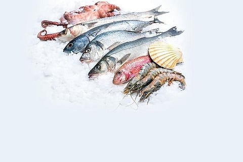 பதறவைக்கும் ஃபார்மலின் மீன்கள்!- மக்கள் அறிய வேண்டிய உண்மைகள் என்ன?