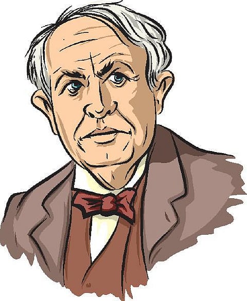 டிங்குவிடம் கேளுங்கள்: குறிஞ்சி ஏன் 12 ஆண்டுகளுக்கு ஒரு முறை பூக்கிறது?