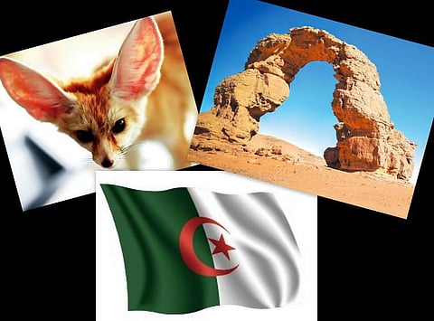 இது எந்த நாடு? 71: பேரீட்சைகளின் நாடு