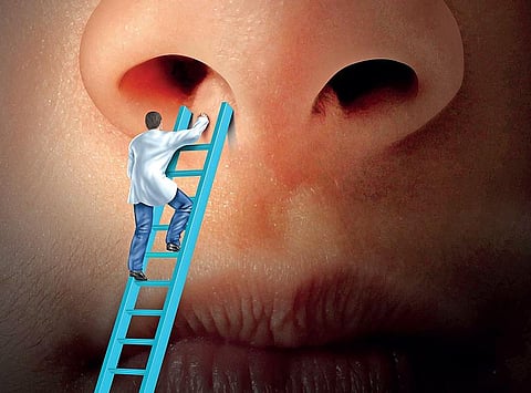 நலம், நலமறிய ஆவல் 46: சைனஸுக்குக் காரணம்… ஒவ்வாமை!