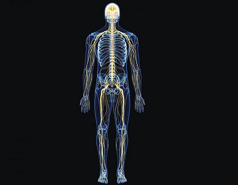 உடல் எனும் இயந்திரம் 35: தகவல் தடங்கள்