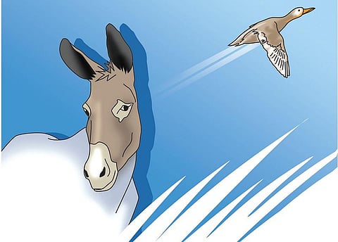 சபாஷ் சாணக்கியா: கற்றுக்கொள்வோம்...கழுதையிடம்!