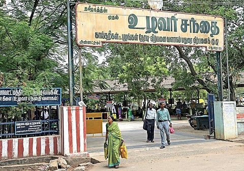 உழவுக்கு ஊட்டம் தந்த ஞாயிறு