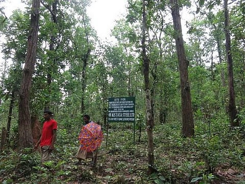 காட்டுக்குள் மாவோயிஸ்ட்டுகளின் துப்பாக்கித் தொழிற்சாலை கண்டுபிடிப்பு