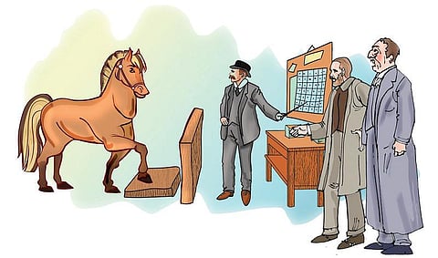 இடம் பொருள் மனிதர் விலங்கு: கணக்கு போடும் குதிரை