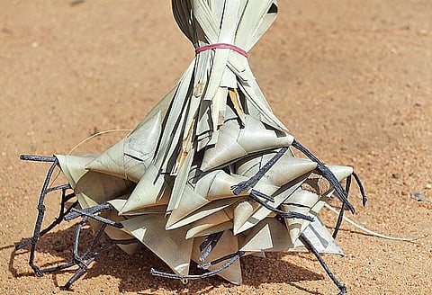 கற்பக தரு 21: ஓலைப் பட்டாசுகளின் கொண்டாட்டம்