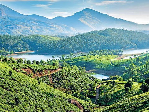 பசுமை எனது வாழ்வுரிமை 01: இந்தியா... இயற்கை... இயக்கங்கள்...