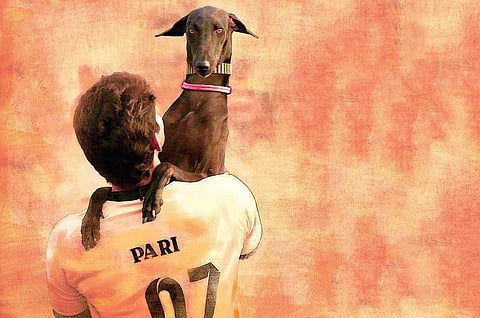 சாதியும் நாயும்