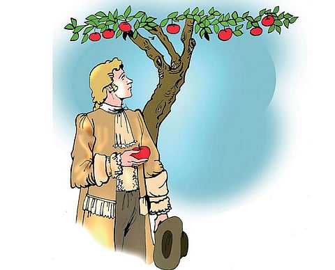 இடம் பொருள் மனிதர் விலங்கு: நியூட்டனின் ஆப்பிள்