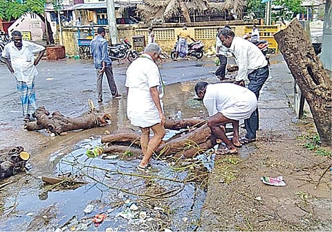 புயல் பாதிப்பால் கழிவுநீர் கால்வாய் அடைப்பு: மரங்களை அகற்றும் பணியில் ஈடுபட்ட புதுச்சேரி அமைச்சர்