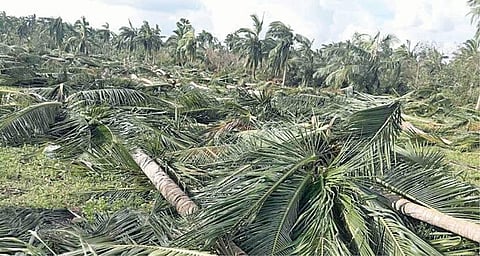 புயலால் பாதிக்கப்பட்ட மக்களுக்கு ஒருநாள் ஊதியம் வழங்கப்படும்: தலைமைச் செயலக சங்கம் அறிவிப்பு