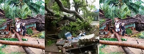 புயல் பாதித்த மாவட்டங்களை தேசியப் பேரிடர் மாவட்டங்களாக அறிவிக்க வழக்கு: உயர் நீதிமன்றம் விசாரணைக்கு ஏற்பு