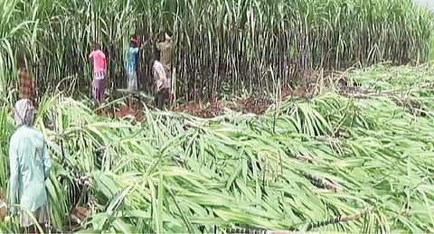 அரசு அறிவித்த நிவாரண உதவி போதுமானதல்ல: நிதியை அதிகரிக்க அரசியல் கட்சித் தலைவர்கள் வலியுறுத்தல்