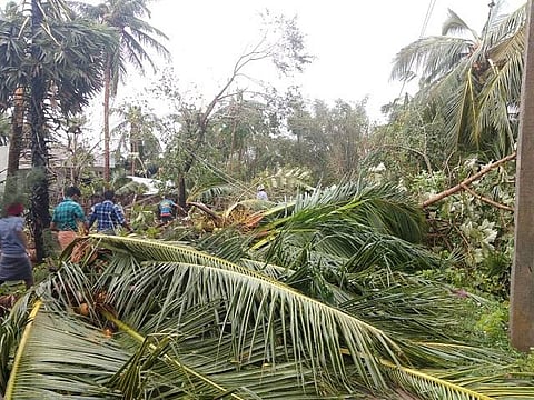 ‘கஜா’ புயலுக்குப் பின் எப்படியிருக்கிறது டெல்டா?