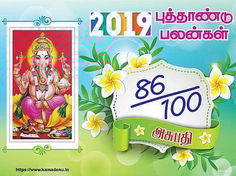 2019 : அஸ்வினிக்கான ஆங்கிலப் புத்தாண்டு பலன்கள்!