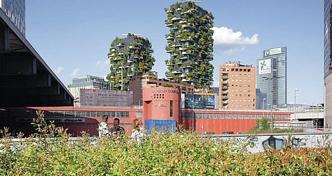 அடுக்குமாடிக் குடியிருப்பில் காடு!