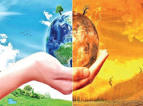 பட்சிராஜனும் பருவநிலை மாற்றமும் - 2018-ன் சுற்றுச்சூழல் நகைமுரண்கள்