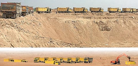 கருவயிற்று ஆலாவின் வாழ்க்கை: சூறையாடப்படும் காவிரியின் பேசப்படாத வலி - இயற்கை அழிவும் பறவைகளும்