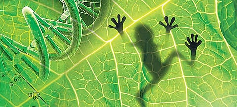 தேர்வுக்குத் தயாரா? - வீடியோவில் இருந்தும் குறிப்பெடுக்கலாம்! (பிளஸ் 2 உயிரியல் )