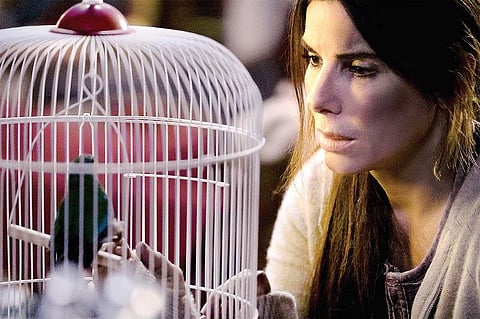 டிஜிட்டல் மேடை 12: கண்கட்டு வித்தை