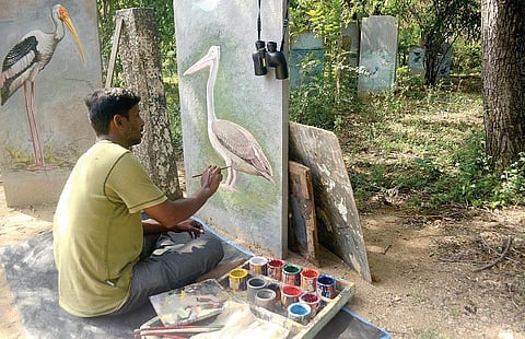 பறவைகளை வடிக்கும் இயற்கை ஓவியர்