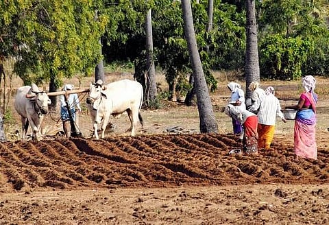 விவசாயிகளுக்கு சலுகை குறித்து மத்திய அமைச்சரவை இன்று முடிவு