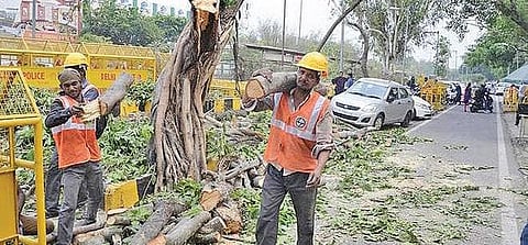 அலசல்: பொருளாதார வளர்ச்சியின் முதல் பலிகடா?