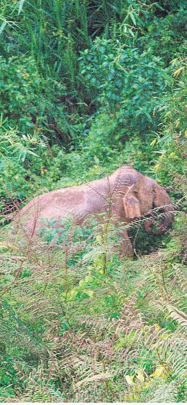 சின்னத்தம்பி உணர்த்தும் செய்தி