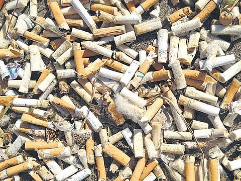 கடலைப் பாழாக்கும் சிகரெட்