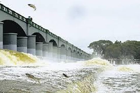 பாதைகள் மாறிய காவிரியும்: பழந்தமிழர் நாகரிக வளர்ச்சியும்