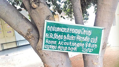 மரம் வளர்ப்பு விழிப்புணர்வு!- சாதிக்கும் அரசுப் பள்ளி ஆசிரியர்