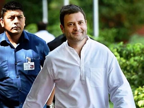 வயநாட்டில் ராகுல் காந்தி போட்டியிடக் காரணம் என்ன?- எந்த அளவுக்கு பாதுகாப்பானது?