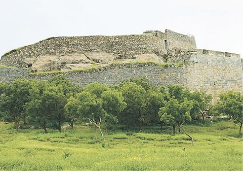 இதுதான் இந்தத் தொகுதி: பெரம்பலூர்