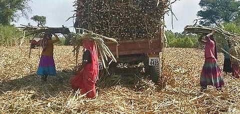 அலசல்: சுரண்டலுக்கு தீர்வுதான் என்ன?