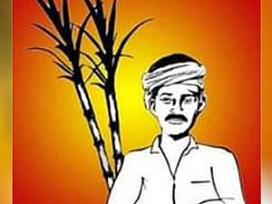 4 தொகுதி இடைத்தேர்தலுக்கான நாம் தமிழர் வேட்பாளர்கள் அறிவிப்பு: இரு தொகுதிகளில் பெண்கள் போட்டி