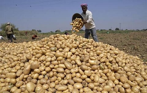 ‘லேஸ் சிப்ஸ்’ உருளைக்கிழங்கைப் பயிரிடுவதை நிறுத்துங்கள்; எங்களுடன் சேருங்கள்: வழக்கை வாபஸ் பெற பெப்ஸி நிறுவனம் விவசாயிகளுக்கு நிபந்தனை