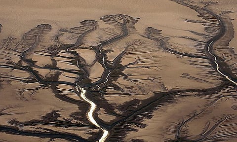 படிப்போம் பகிர்வோம்: வேலூர் நதி கொல்லப்பட்ட கதை