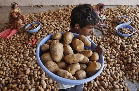 பெப்சி நிறுவனத்துக்கு எதிரான சட்டப் போராட்டத்தில் விவசாயிகளுக்கு ஆதரவு: குஜராத் மாநில அரசு முடிவு