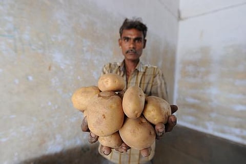 வழக்கு தொடர்ந்த பெப்சி: பறிக்கப்படும் விவசாயிகளின் இறையாண்மை