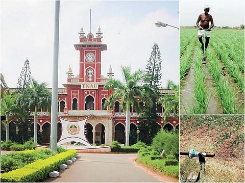 கோடை மழைப் பொழிவு குறைவு