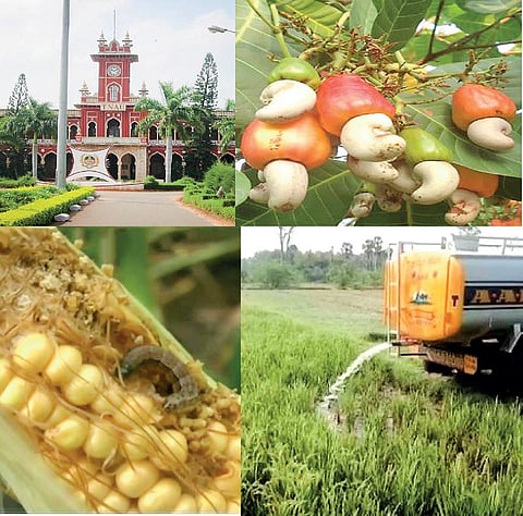 வேளாண் பல்கலைக்கழகப் பயிற்சி