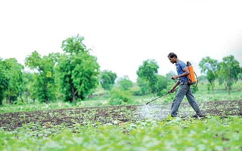 எது இயற்கை உணவு 02: உணவில் பூச்சிக்கொல்லி ஏன் தடுக்கப்படவில்லை?