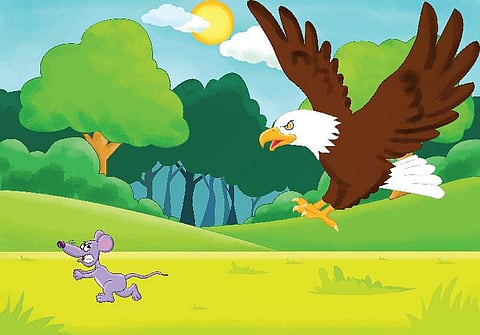 கதை: எலிக்கு வந்த கிலி