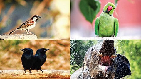 போகிற போக்கில்: கதை சொல்லும் படம்