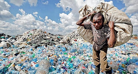 ஞெகிழி பூதம் 18: உங்கள் வீட்டில் ஞெகிழித் தின்னி இருக்கிறதா?