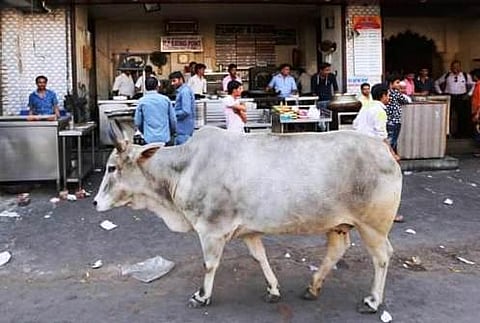 உ.பி.யில் கோயில் அருகே மாட்டிறைச்சி சாப்பிட்டதொழிலாளர்களை தாக்கிய கும்பல்