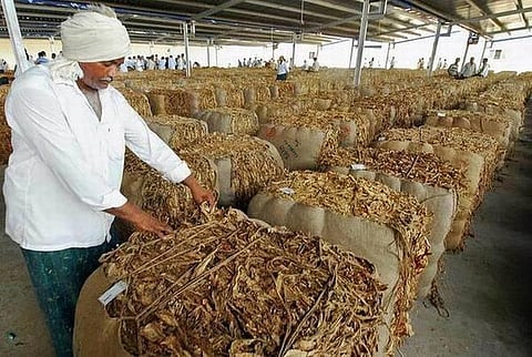 இந்தியப் புகையிலைத் தொழிற்துறை ரூ.11,79,498 கோடி மதிப்புடையது; 4.5 கோடி பேர் பணியில் உள்ளனர்: அசோசெம் ஆய்வுத் தகவல்