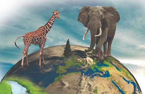 எச்சரிக்கை பூமிக்கு வேறெங்கும் கிளைகள் கிடையாது