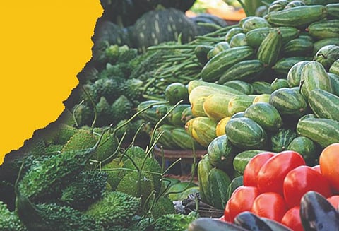 ஆண்டு முழுவதும் விளைச்சல் தரும் காய்கறி ரகங்கள்!